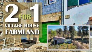  2 For 1  Village House and Farmland For Sale  Central Portugal  Sold