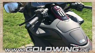 Goldwing STANDARD Sondermodell  #376  Goldwing Haus Fuchs