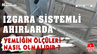 Hayvancılık Rehberi - Izgara Sistemli Ahırlarda Yemliğin Ölçüleri Nasıl Olmalıdır?