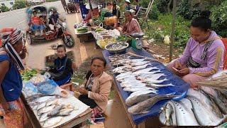 ชาวลาวขายปลาน้ำโขง ตลาดริมทาง แขวงจำปาสัก Local food market Champasak Laos