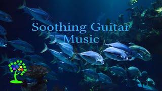 Soothing Guitar Music  Deep Diving by MindLight Relaxing Music    #relaxingmusic