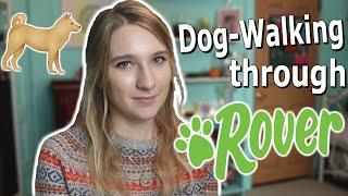 Dog Walking through Rover  Everything you need to know