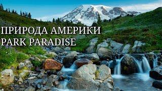 Путешествие в парк PARADISE часть 2  ГОРА REINIER  Природа штата Вашингтон