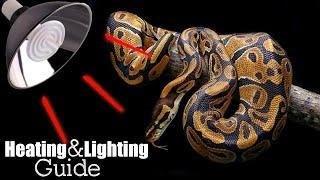 Ball Python HeatingLighting Guide