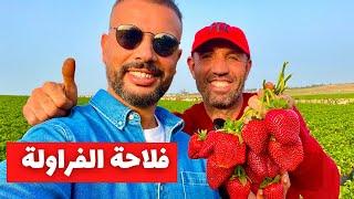 فلاحة الفراولة في تونس