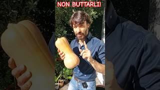 ZUCCHE AD OTTOBRE I SEMI NON BUTTARLI E FAI COSI IDEA GENIALE #fiori  #garden #youtubevideo #viral