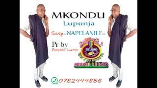 MKONDU LUPUNJA_NAPELANILE_0782444856_DONE BY NDUSHI RECORDS