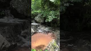Lands Run Falls  Nature #Shorts  Shenandoah National Park  Waterfall Wednesday  View 1