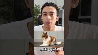 شخص ياباني صرف 14 الف دولار عشان يتحول لكلب