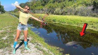 Bowfishing the Trickiest Fish to Catch SNAKEHEAD Catch Clean Cook