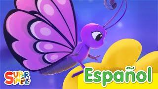 A Dormir Mariposa  Canciones Infantiles