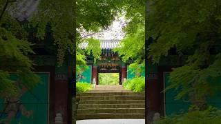 충청남도 예산 수덕사 Sudeoksa Temple in Yesan Chungcheongnam-do