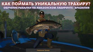 Fishing Planet  КАК И ГДЕ ПОЙМАТЬ УНИКАЛЬНУЮ ТРАХИРУ НА АМАЗОНКЕ? ПОДРОБНЫЙ ГАЙД ПО ЛОВЛЕ ТРАХИР