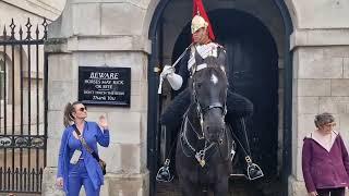The look the horse takes a pee the horse farts     #horseguardsparade