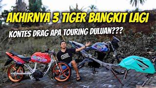 ENGINE ON YANG MANA DULU⁉️ 3 TIGER COMEBACK SEKALIGUS‼️