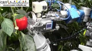 An Autonomous Harvesting Robot for Sweet-pepper in Greenhouses Lip-type end-effector