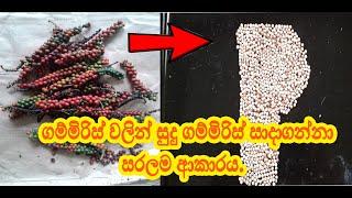 How to make white pepper.  සුදු ගම්මිරිස් සාදාගන්නා පහසුම ආකාරය.sinhala