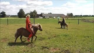 Pony Riding #pony #ponyriding #donkey #donkeyriding #Buffaloriding