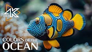 Oceanic Wonders 4K - A Journey Beneath the Deep Sea - Relaxation & Calming Music