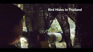 Bird Hides in Thailand A Community Success Story