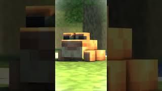 Minecraft Tapi ada Kodok OP  - McAnimID #shorts