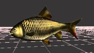 Fish animations Анимация Рыбы