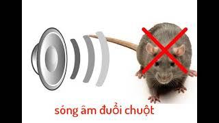 Sóng âm 20000hz đuổi chuột