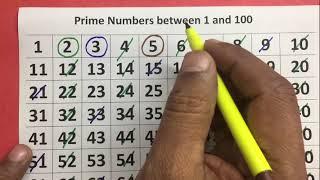 Prime Numbers Between 1 and 100