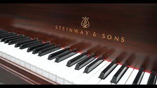 What Steinway Doesnt Want You To Know Stein-Was