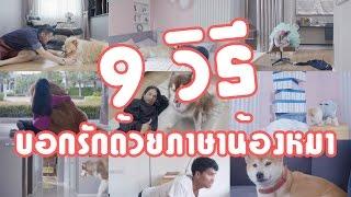 9 วิธีบอกรักด้วยภาษาน้องหมา