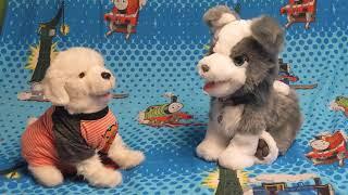 Furreal Friends - Playful Puppies Popcorn and Lucky