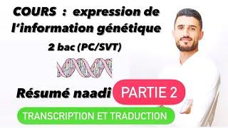 Partie 2 Expression de l’information génétique Résume transcription traduction 4 points national