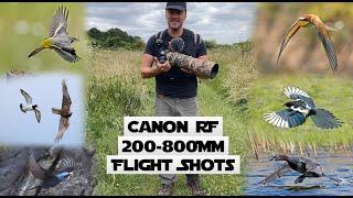Is The Canon RF 200-800mm Lens too slow for birds in flight? Paired with the Canon R7.