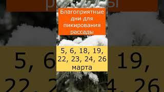 Когда сеять ПОМИДОРЫ В МАРТЕ и АПРЕЛЕ 2024 года. Посевной календарь 2024.