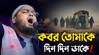 কবর তোমাকে দিন দিন ডাকে বন্ধু  Hafizur Rahman Siddiki Waz 2024