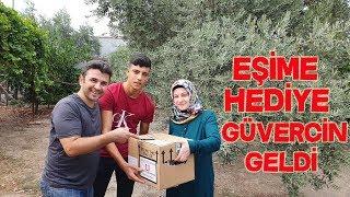 Eşime Hediye Güvercin Geldi