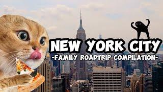 CAT MEMES FAMILY ROADTRIP COMPILATION NEW YORK + EXTRA SCENES