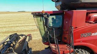 96 Year Old Joins Soybean Harvest