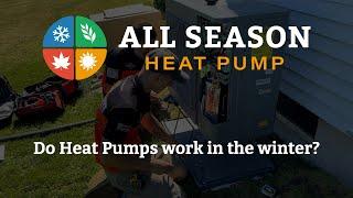 Do Heat Pumps work in the winter?
