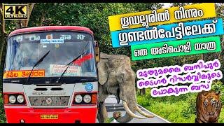 Gudalur to Gundalpete Bus  Mudumalai - Bandipur Tiger Reserve  Adventure Trip Through The Forest