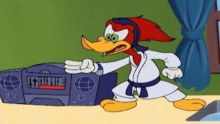 Karate kid Woody  Woody Woodpecker