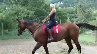 lady horse riding 3