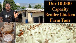 Best Broiler Chicken Farm Setup  Modern Broiler Poultry Farming
