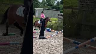Teaching my horse to quietly canter into jumps