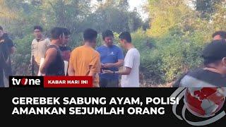 Polda Sulsel Lakukan Penggerebekan Arena Sabung Ayam Dua Orang Diamankan  Kabar Hari Ini tvOne