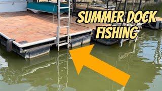 Identifying The Best Docks To Fish In The Summer…