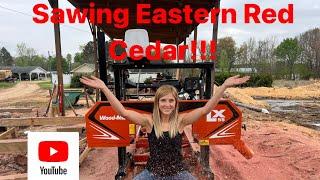 Milling BEAUTIFUL Eastern Red Cedar with a WOODMIZER Sawmill Pt 1