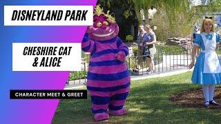 Cheshire Cat and Alice from Alice in Wonderland at Disneyland 2021