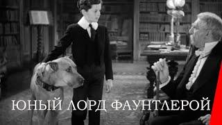 ЮНЫЙ ЛОРД ФАУНТЛЕРОЙ 1936 семейный