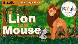 Childrens Story  The Lion and the Mouse told in isiZulu  Beginner Zulu Lessons  zululessons.com